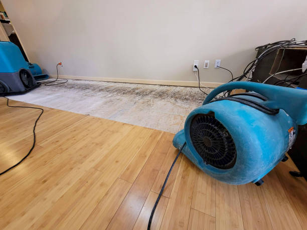 Professional Water Extraction technician working in Burlington, OH